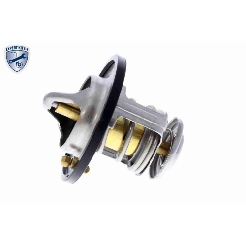 ACKOJA Thermostat, K&uuml;hlmittel EXPERT KITS +