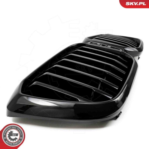 ESEN SKV Kühlergitter