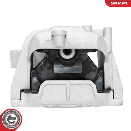 ESEN SKV Lagerung, Motor 75SKV324