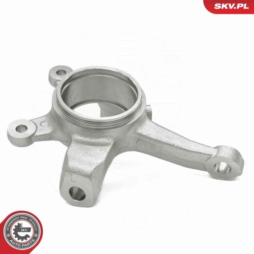 ESEN SKV Achsschenkel, Radaufhängung