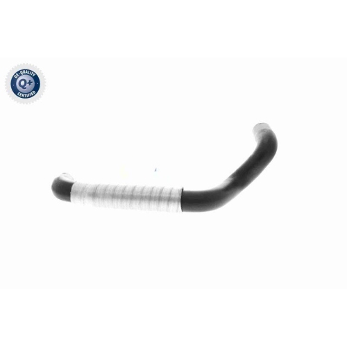 VAICO K&uuml;hlerschlauch Q+, Erstausr&uuml;sterqualit&auml;t