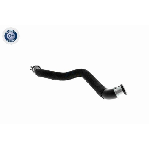 VAICO Kühlerschlauch Q+, Erstausrüsterqualität V30-2972