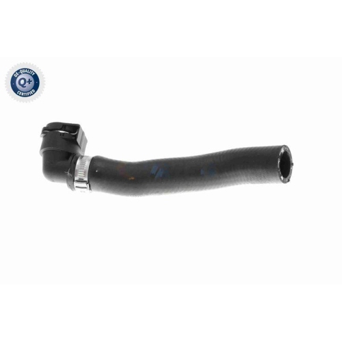 VAICO K&uuml;hlerschlauch Q+, Erstausr&uuml;sterqualit&auml;t V20-3682