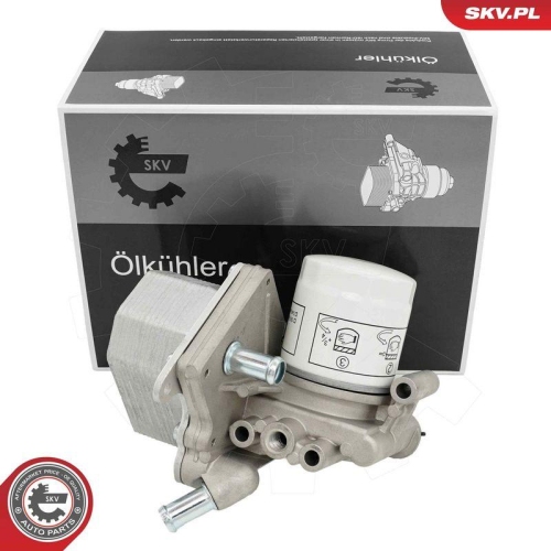 ESEN SKV &Ouml;lk&uuml;hler, Motor&ouml;l 31SKV338