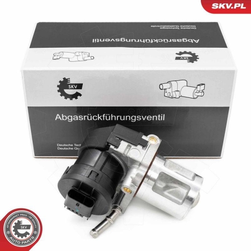 ESEN SKV AGR-Ventil 14SKV261