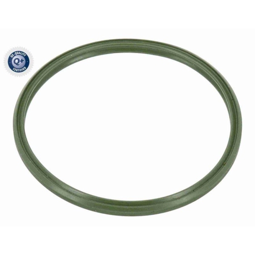 VAICO Ladeluftschlauch Q+, Erstausrüsterqualität V20-2806