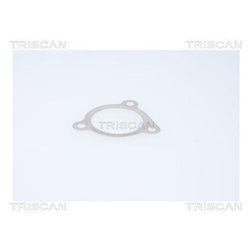 TRISCAN AGR-Ventil 8813 29116