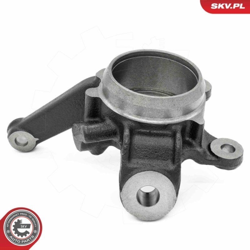 ESEN SKV Achsschenkel, Radaufh&auml;ngung