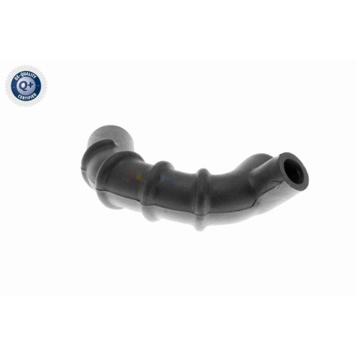 VAICO Schlauch, Kurbelgehäuseentlüftung Q+, Erstausrüsterqualität V30-0790