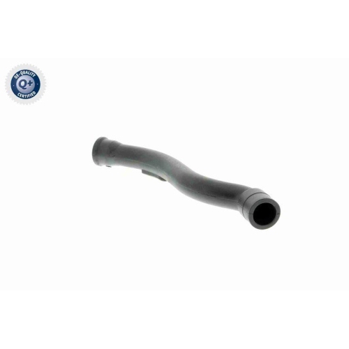 VAICO Schlauch, Kurbelgehäuseentlüftung Q+, Erstausrüsterqualität V10-2938