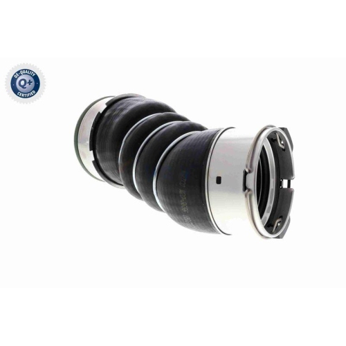 VAICO Ladeluftschlauch Q+, Erstausrüsterqualität V20-3656