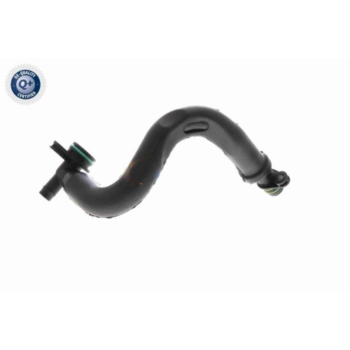 VAICO Ventil, Kurbelgehäuseentlüftung Green Mobility Parts V10-8677