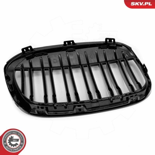 ESEN SKV Kühlergitter