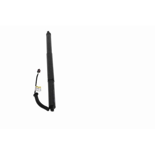 ACKOJA Elektromotor, Heckklappe Green Mobility Parts