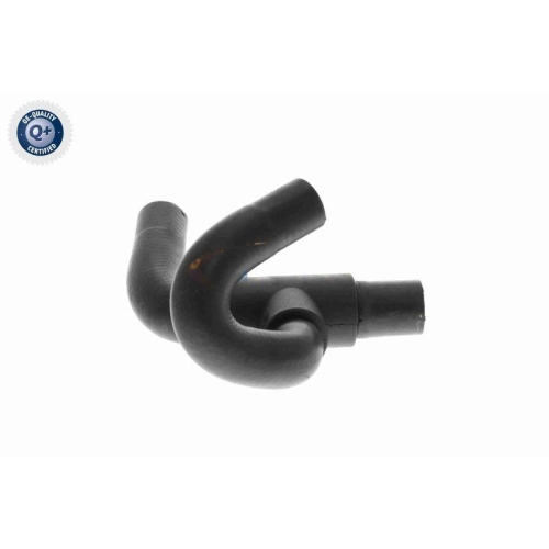 VAICO Kühlerschlauch Q+, Erstausrüsterqualität