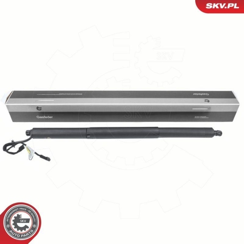 ESEN SKV Elektromotor, Heckklappe 52SKV973
