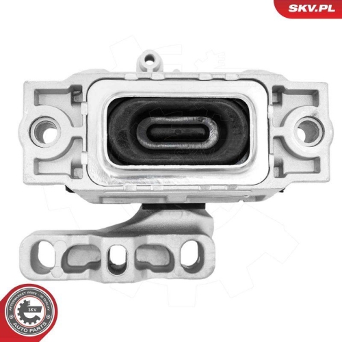 ESEN SKV Lagerung, Motor 75SKV253