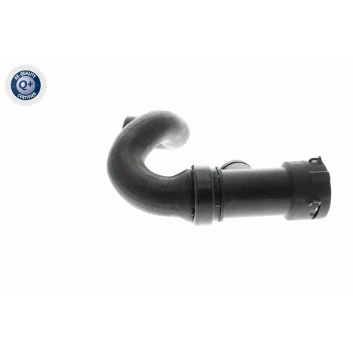 VAICO Kühlerschlauch Q+, Erstausrüsterqualität V10-3196