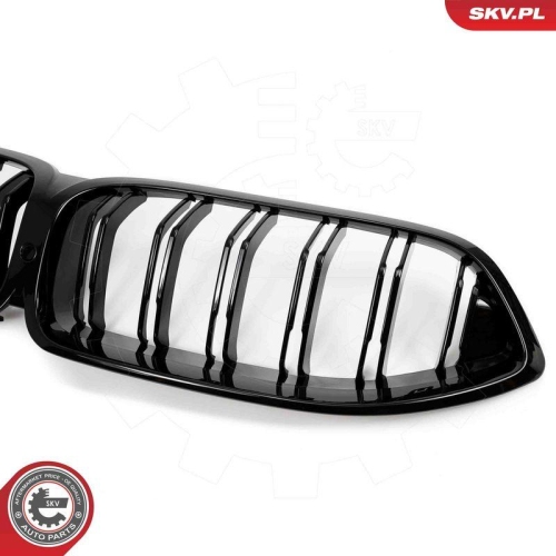 ESEN SKV Kühlergitter