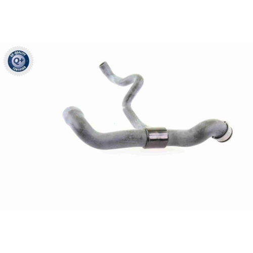 VAICO Kühlerschlauch Q+, Erstausrüsterqualität V30-1660