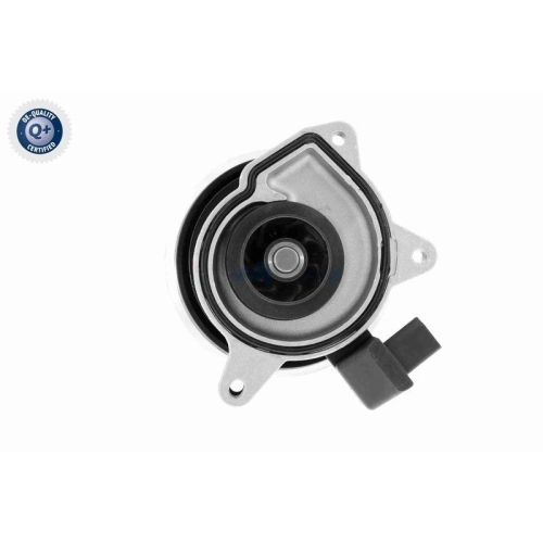 VAICO Wasserpumpe, Motorkühlung Q+, Erstausrüsterqualität V10-50065