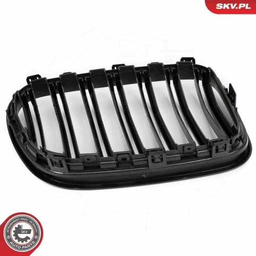 ESEN SKV Kühlergitter