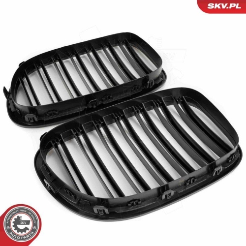 ESEN SKV Kühlergitter