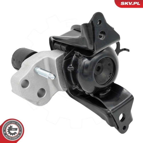 ESEN SKV Lagerung, Motor 75SKV317