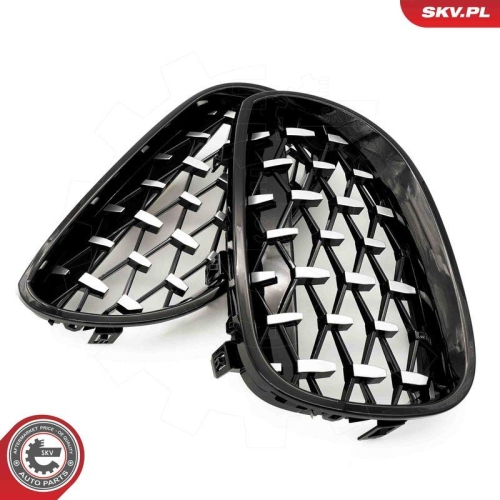 ESEN SKV Kühlergitter