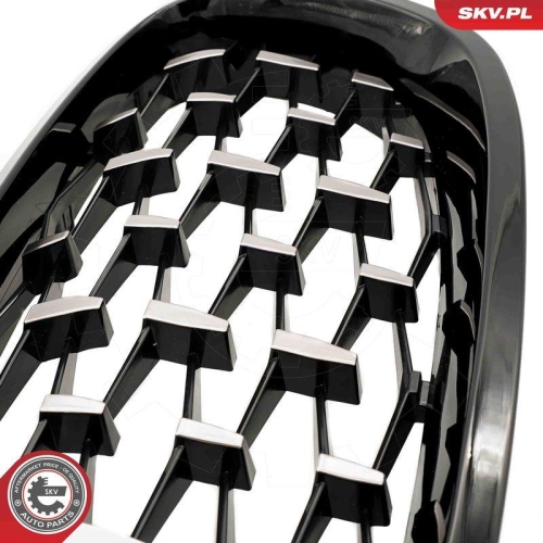 ESEN SKV Kühlergitter