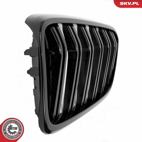 ESEN SKV Kühlergitter