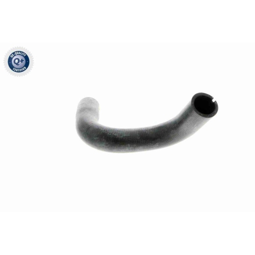 VAICO K&uuml;hlerschlauch Q+, Erstausr&uuml;sterqualit&auml;t V24-0872