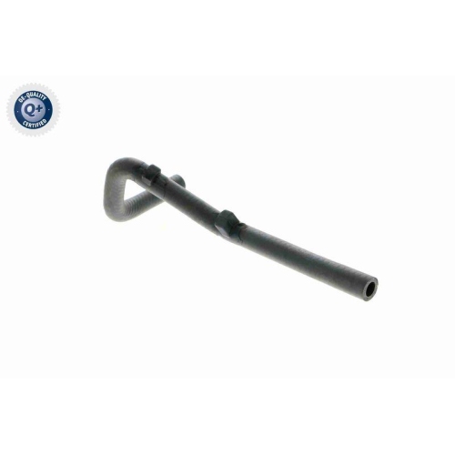 VAICO Kühlerschlauch Q+, Erstausrüsterqualität V10-4670