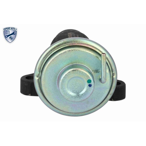 ACKOJA AGR-Ventil EXPERT KITS +