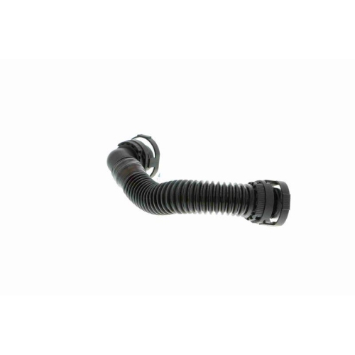 VAICO Schlauch, Kurbelgehäuseentlüftung Original VAICO Qualität