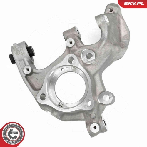 ESEN SKV Achsschenkel, Radaufhängung