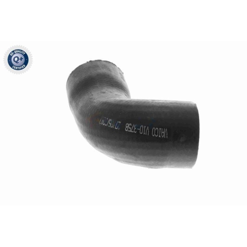 VAICO Ladeluftschlauch Q+, Erstausrüsterqualität V10-3758