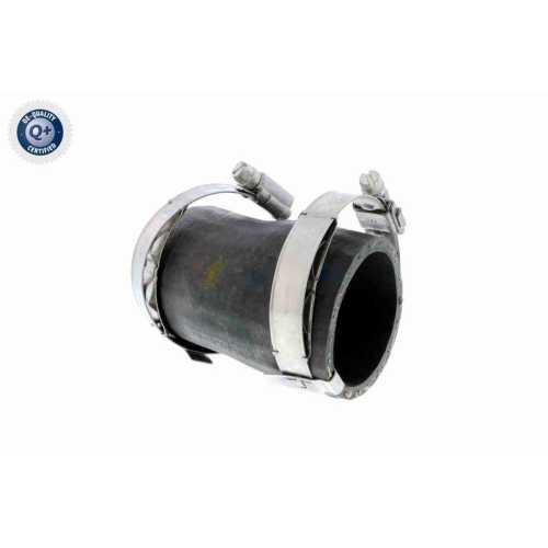 VAICO Ladeluftschlauch Q+, Erstausrüsterqualität V10-3799