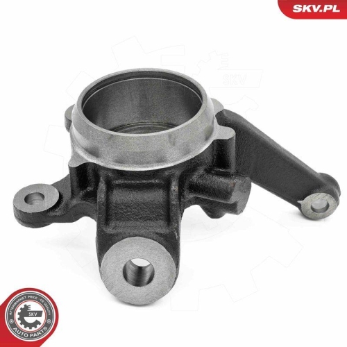 ESEN SKV Achsschenkel, Radaufh&auml;ngung