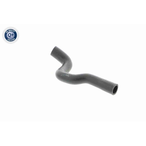 VAICO Kühlerschlauch Q+, Erstausrüsterqualität V20-1704