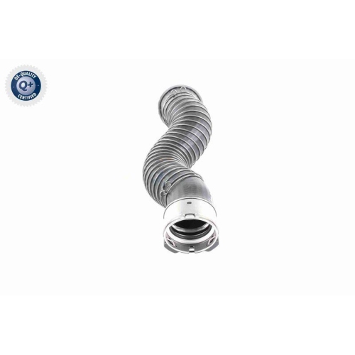 VAICO Ladeluftschlauch Q+, Erstausrüsterqualität V20-3251