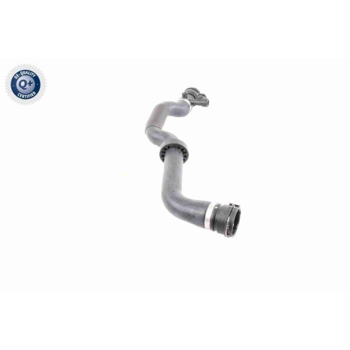 VAICO Kühlerschlauch Q+, Erstausrüsterqualität V20-1777