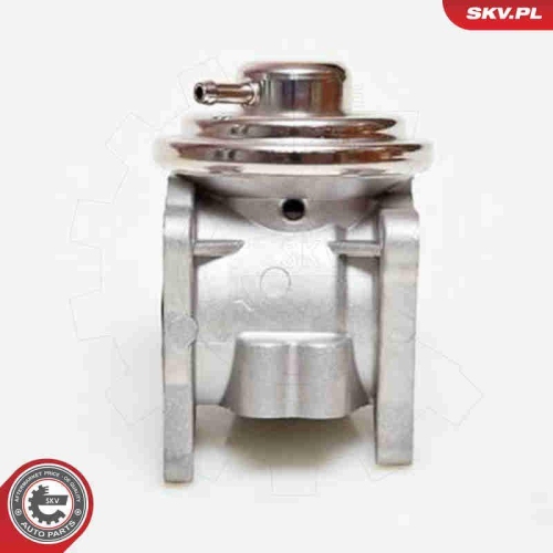 ESEN SKV AGR-Ventil 14SKV019