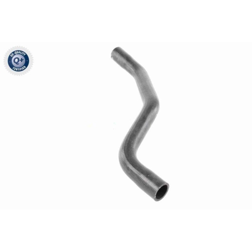 VAICO K&uuml;hlerschlauch Q+, Erstausr&uuml;sterqualit&auml;t V46-0915