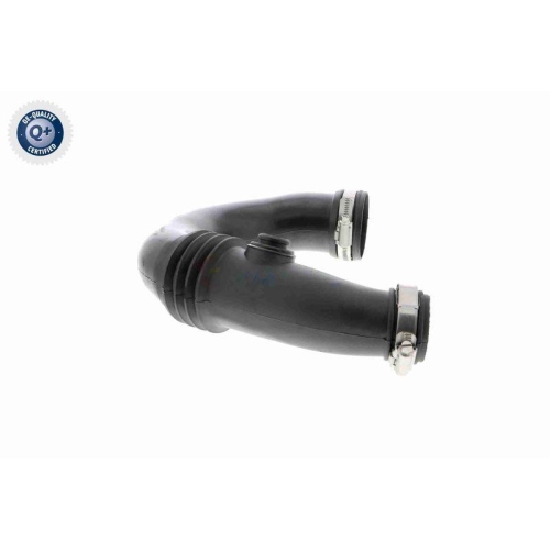 VAICO Ladeluftschlauch Q+, Erstausrüsterqualität V46-0918