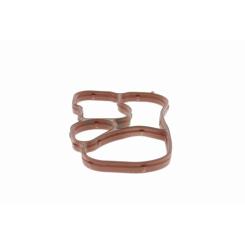 VEMO Dichtung, Ölkühler Green Mobility Parts V15-60-90015