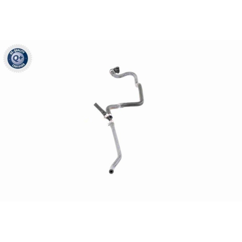 VAICO Kühlerschlauch Q+, Erstausrüsterqualität