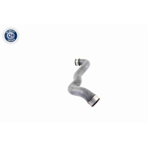 VAICO Kühlerschlauch Q+, Erstausrüsterqualität V30-1653