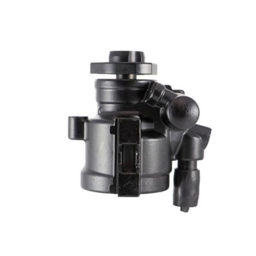 LAUBER Hydraulikpumpe, Lenkung 55.0048