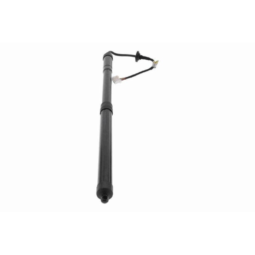 ACKOJA Elektromotor, Heckklappe Green Mobility Parts A26-55-0002